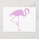 Recherche de rose flamant cartes postales Rétro