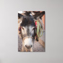 Search for miguel canvas prints Guanajuato