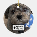 Recherche de race ornaments Animal