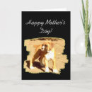 Search for boxer mom cards Dog