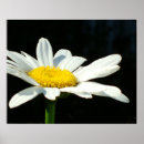 Search for stems art Yellow