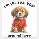 Search for cute dog sayings stickers Funny
