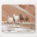 Recherche de ranch cheval tapis souris Ferme