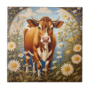 Recherche de vaches carreaux Animal de ferme
