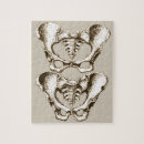 Search for human bones puzzles Skeleton
