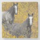 Search for mustard coasters Flowers