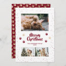 Search for paws christmas cards Modern