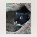 Search for rabbit puzzles Cute animals