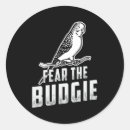 Search for parakeet stickers Budgerigar