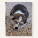 Recherche de corgi carnets Mignon