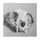 Search for dead tiles Animal
