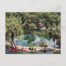 Recherche de cèdre cartes postales Nature