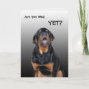 Search for barking cards Animals
