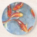 Search for swimming coasters Animals