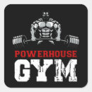 Recherche de gym stickers Levage