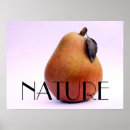 Recherche de poire posters Nature