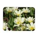Search for painted image magnets Flowers
