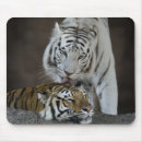 Recherche de tigre blanc tapis souris Faune