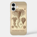 Recherche de haeckel iphone coques Biologie