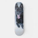 Recherche de couverture skateboards Animal