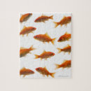Recherche de poisson rouge puzzles Animal