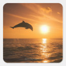 Search for jumping dolphin stickers Sealife