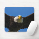 Search for bald eagle mousepads Haliaeetus leucocephalus