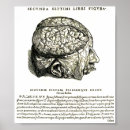 Search for skeleton anatomy posters Human body