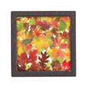 Search for autumn leaves gift boxes pattern