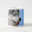 Recherche de siberian mugs Dog