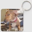 Recherche de oeil de chien Pour elle
