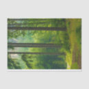 Recherche de arbre magique Pour elle