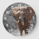 Recherche de africain horloges Sauvage