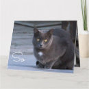 Recherche de rat vœux cartes Chat
