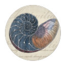 Recherche de coquillage planches à découper Plage