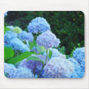 Search for garden mousepads Hydrangeas