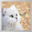 Recherche de herbe posters Doux