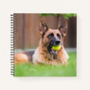 Search for german shepherd notebooks Cute