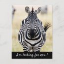 Search for vertical stripes postcards Zebra
