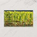 Recherche de tabac cartes visite Fumer