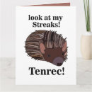 Search for funny hedgehog cards Wildlife