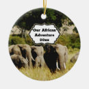 Search for african safari ornaments Elephant