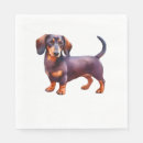 Search for cream dachshund Puppy