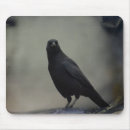 Recherche de croisement tapis souris Pour lui