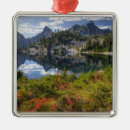 Search for in the wilderness ornaments Nobody