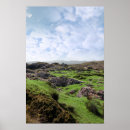 Recherche de paysage irlandais posters Campagne