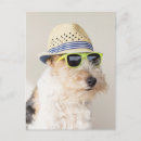 Recherche de fox terrier cartes postales Chiot