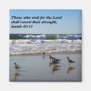Search for renewal magnets Faith