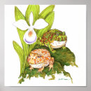 Recherche de dessins de grenouille posters Amphibien