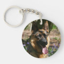 Search for german shepherds keychains Canine photographer